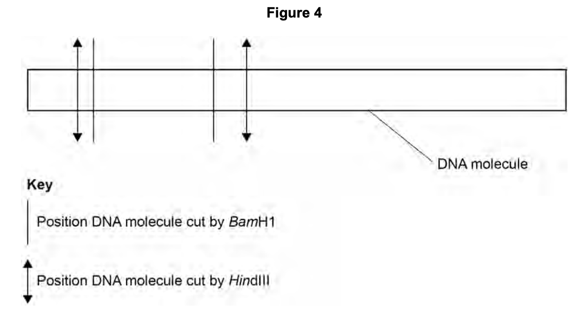 Figure for Q7.1