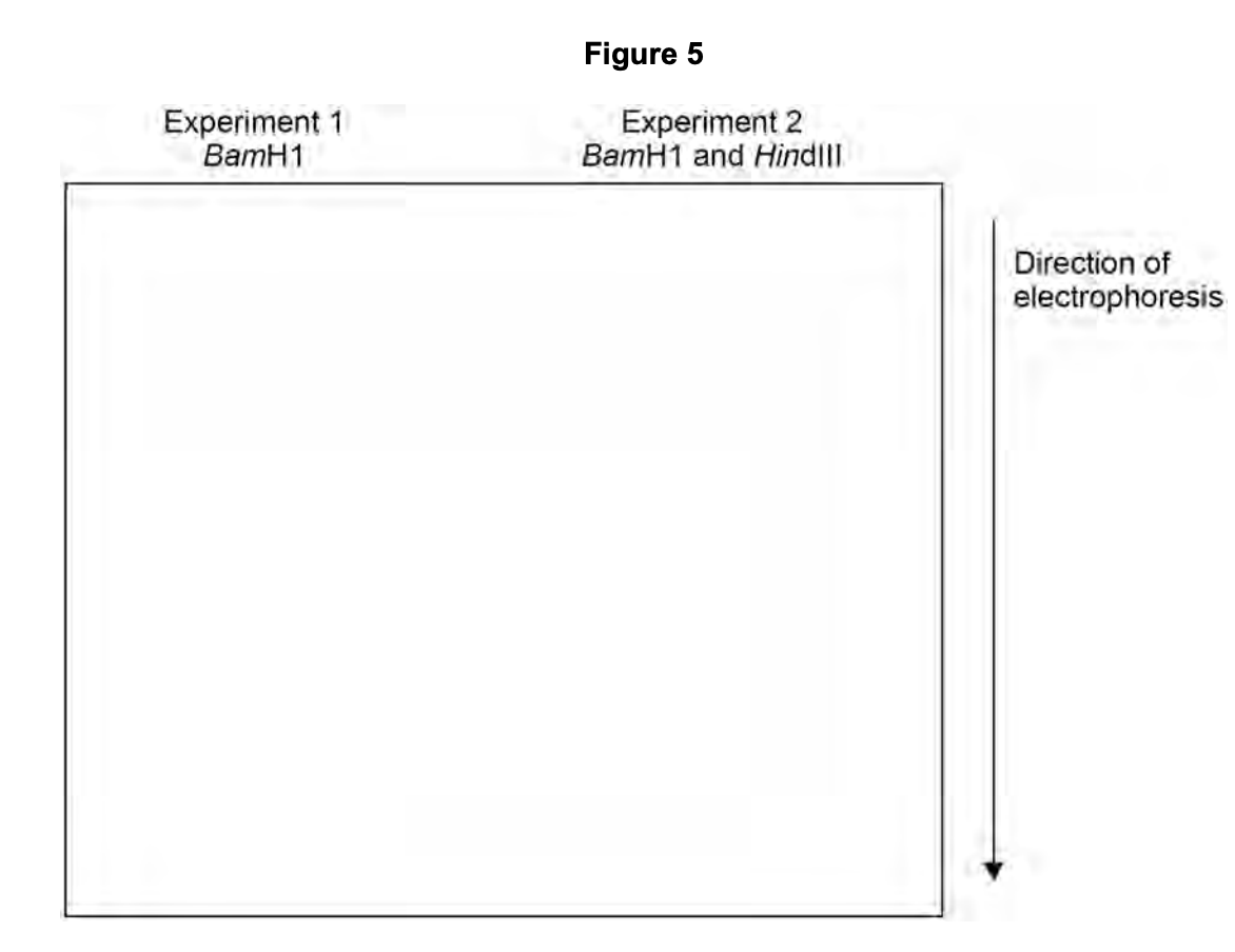 Figure for Q7.1