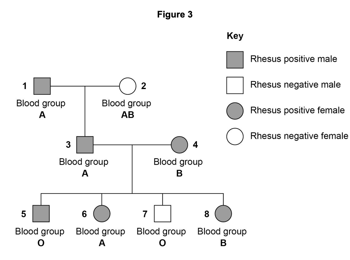 Figure for Q6.1