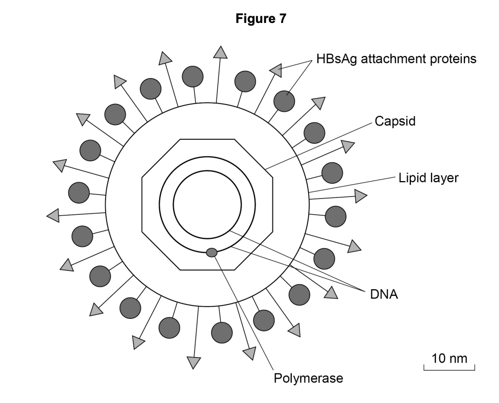 Figure for Q7.1