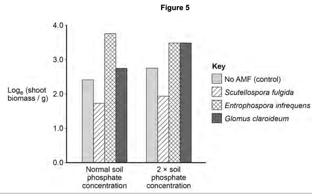 Figure for Q5.3