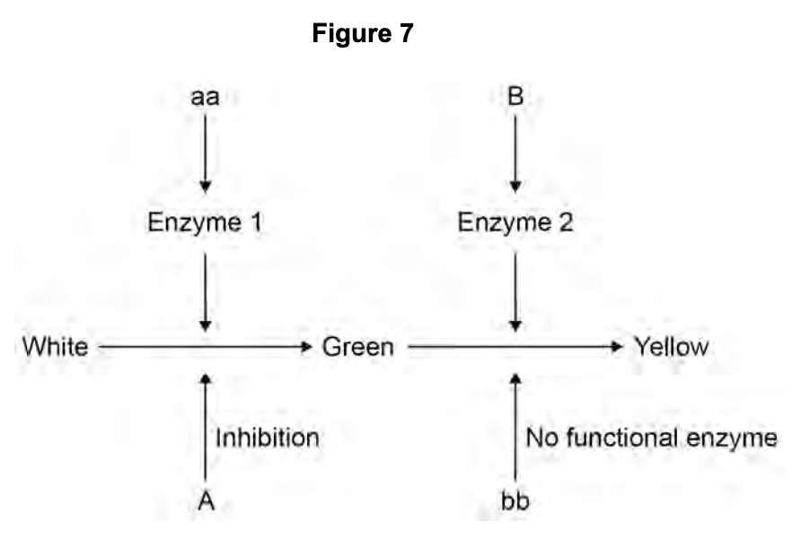 Figure for Q7.2