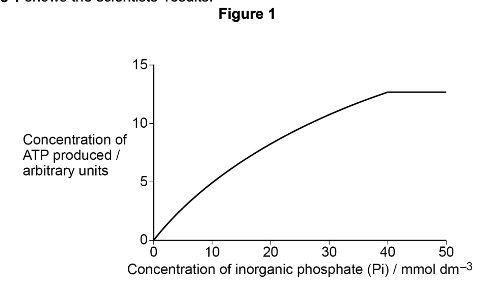 Figure for Q1.3