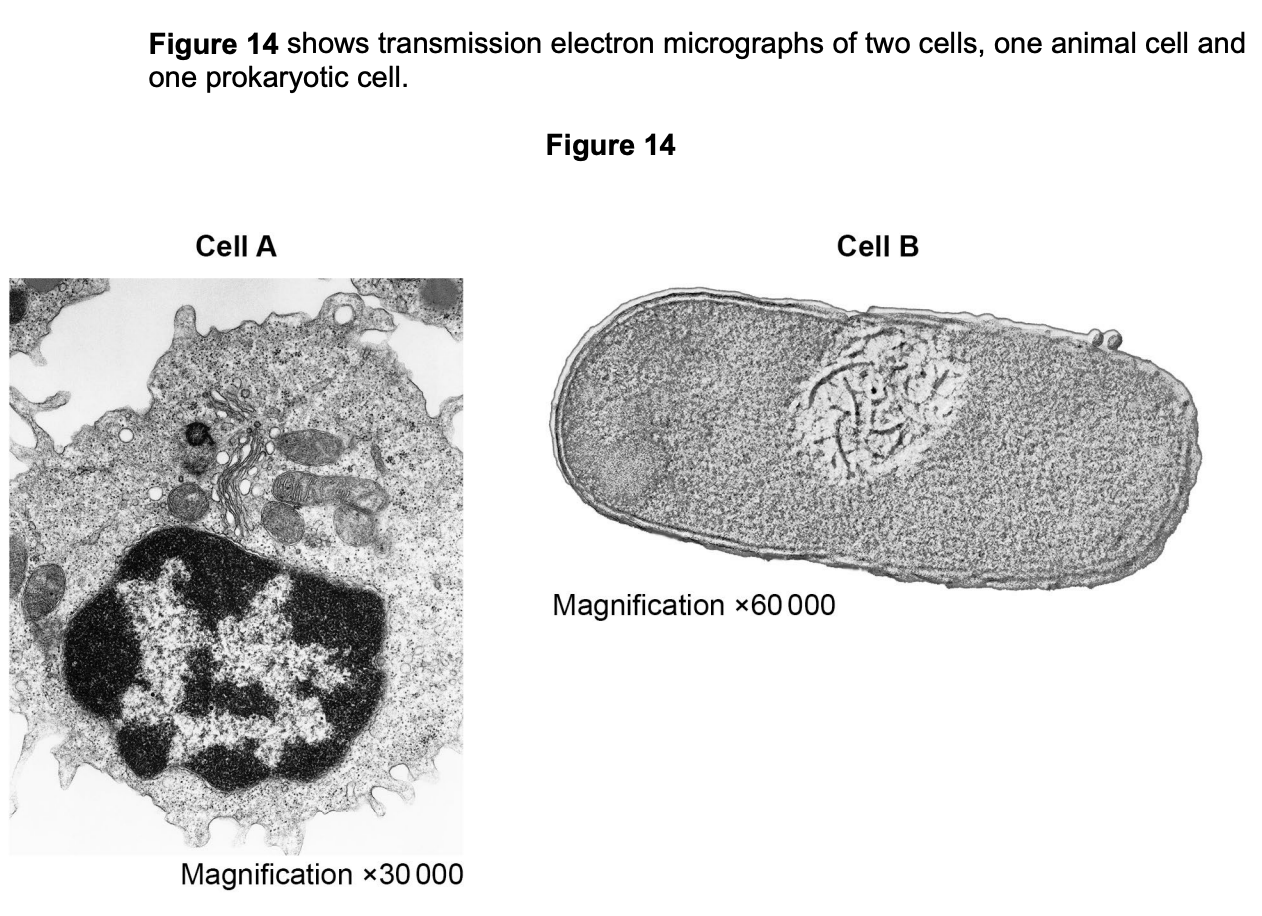 Figure for Q10.3