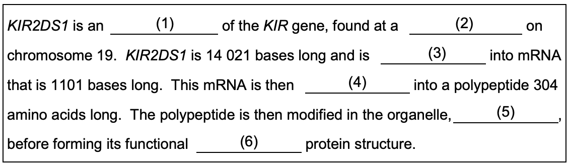 Figure for Q4.2
